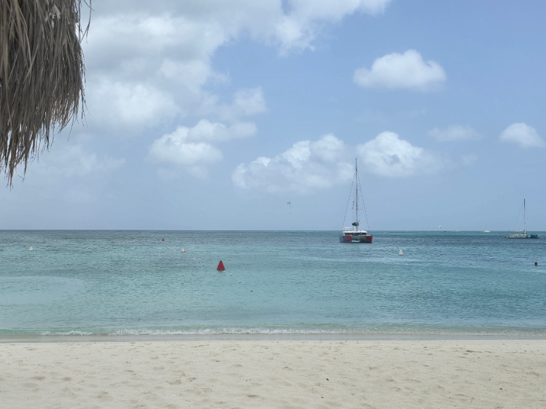 Aruba take me away...